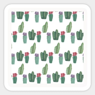 Watercolor Cactus Neck Gatier Cactus Flowers Sticker